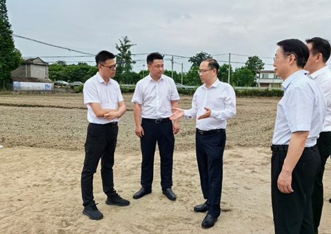 胡云赴眉山调研耕地；だ煤透叱叨扰┨锝ㄉ韫ぷ