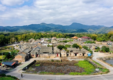全国首单林业生态指数保险落地咸阳东源